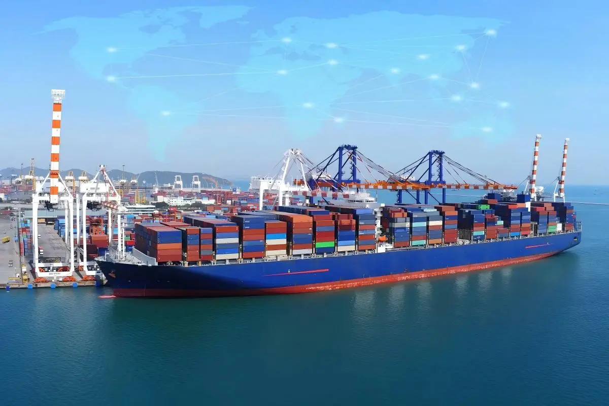 Import And Export Policies